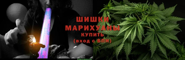 шишки Коряжма