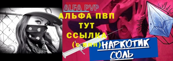 шишки Коряжма