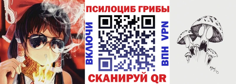 Купить где  Миньяр  Галлюциногенные грибы ЛСД 